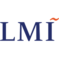 LMI consulting.png