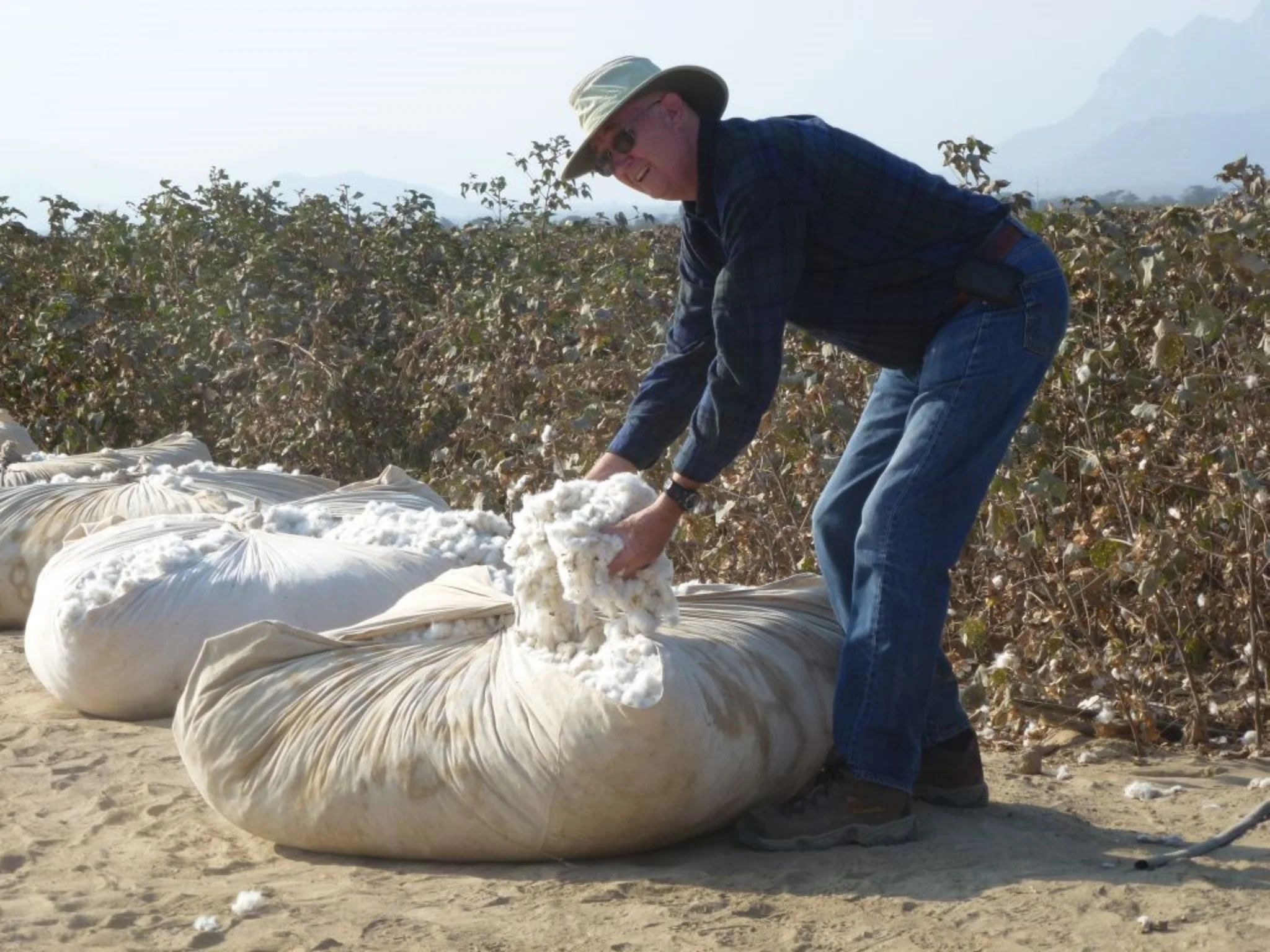 peru_algodon.jpg
