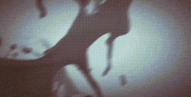 20240218_231750 (1).gif