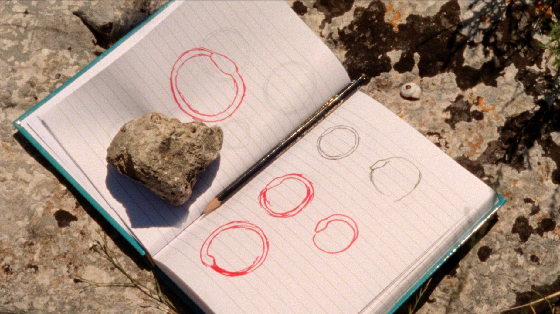 Ouroboros by Basma Alsharif, 2017, France/Palestine/Belgium/Quatar 77 min. / Italian, English and Chinook w/ English subtitles