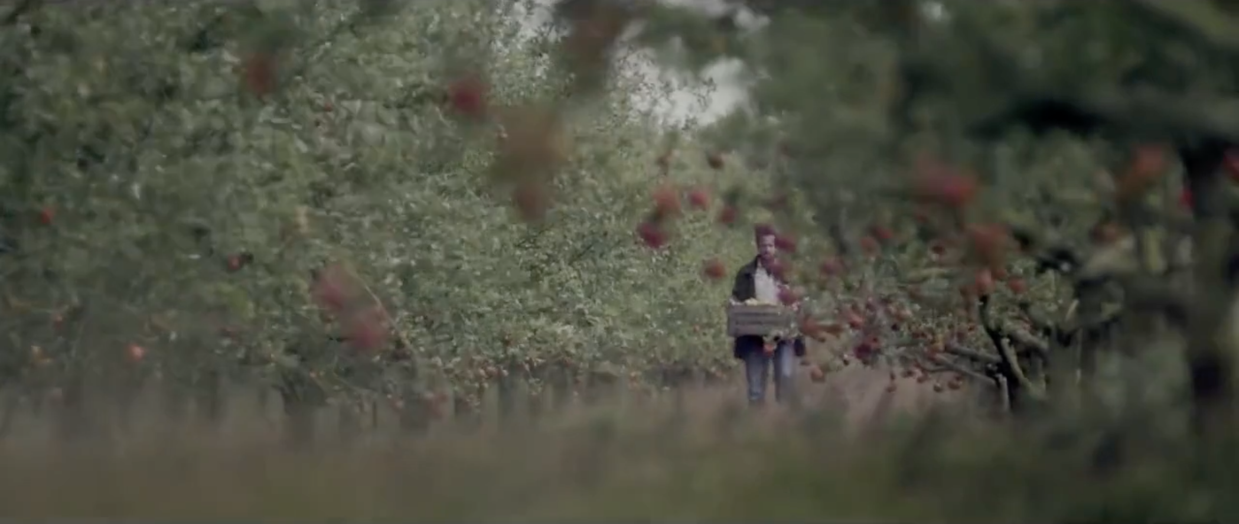 Screen Shot 2022-05-16 at 14.29.54.png