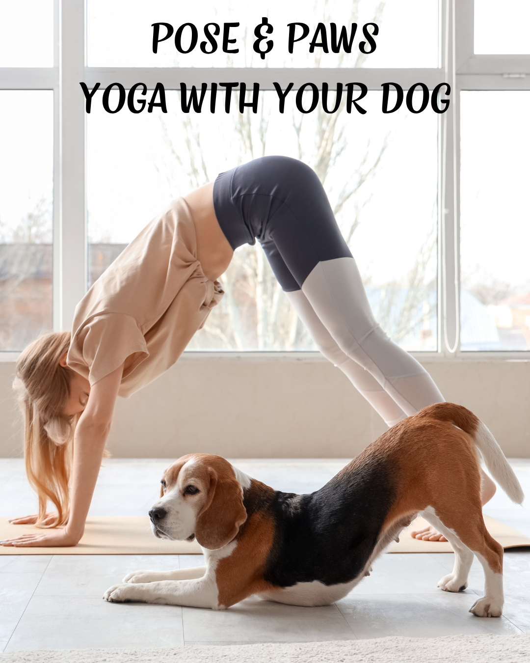 Pose & Paws: Yoga with your Dog