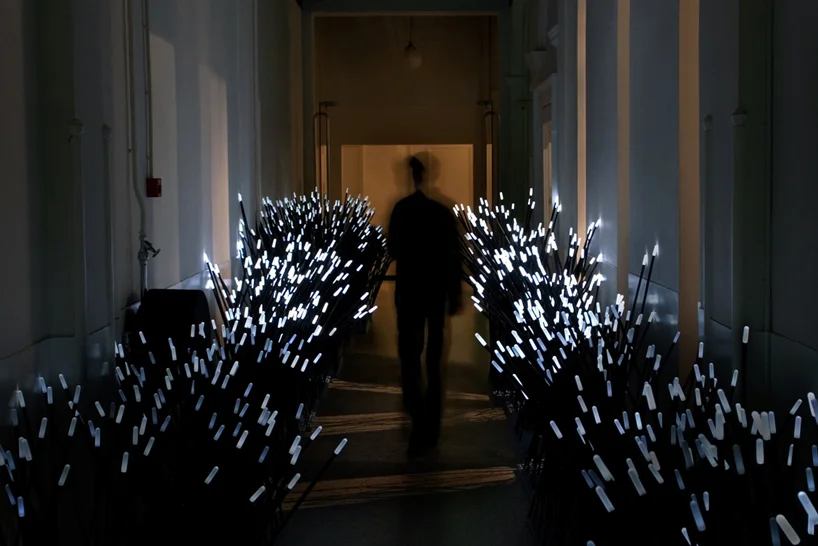 Exposición "Liberation of Light"