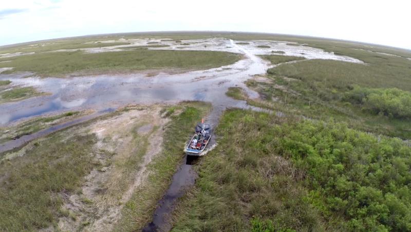 The E-W-A encourages aggressive expanded action to address the growing invasive species flood into the Everglades. The war for native wildlife survival in the Everglades is taking place on many fronts. The most consistent threat to the everglades is still the danger of loss of habitat from urban expansion. Vast areas of land have continued to be lost to “development”, to the point where protected areas represent only half of the original everglades. Short of this catastrophe, there are three more indirect challenges that can accelerate decline even as “restoration” continues. These are the mismanagement of water distribution, the decline of water quality and the continued appearance and expansion of invasive species. (Friends of the Everglades)