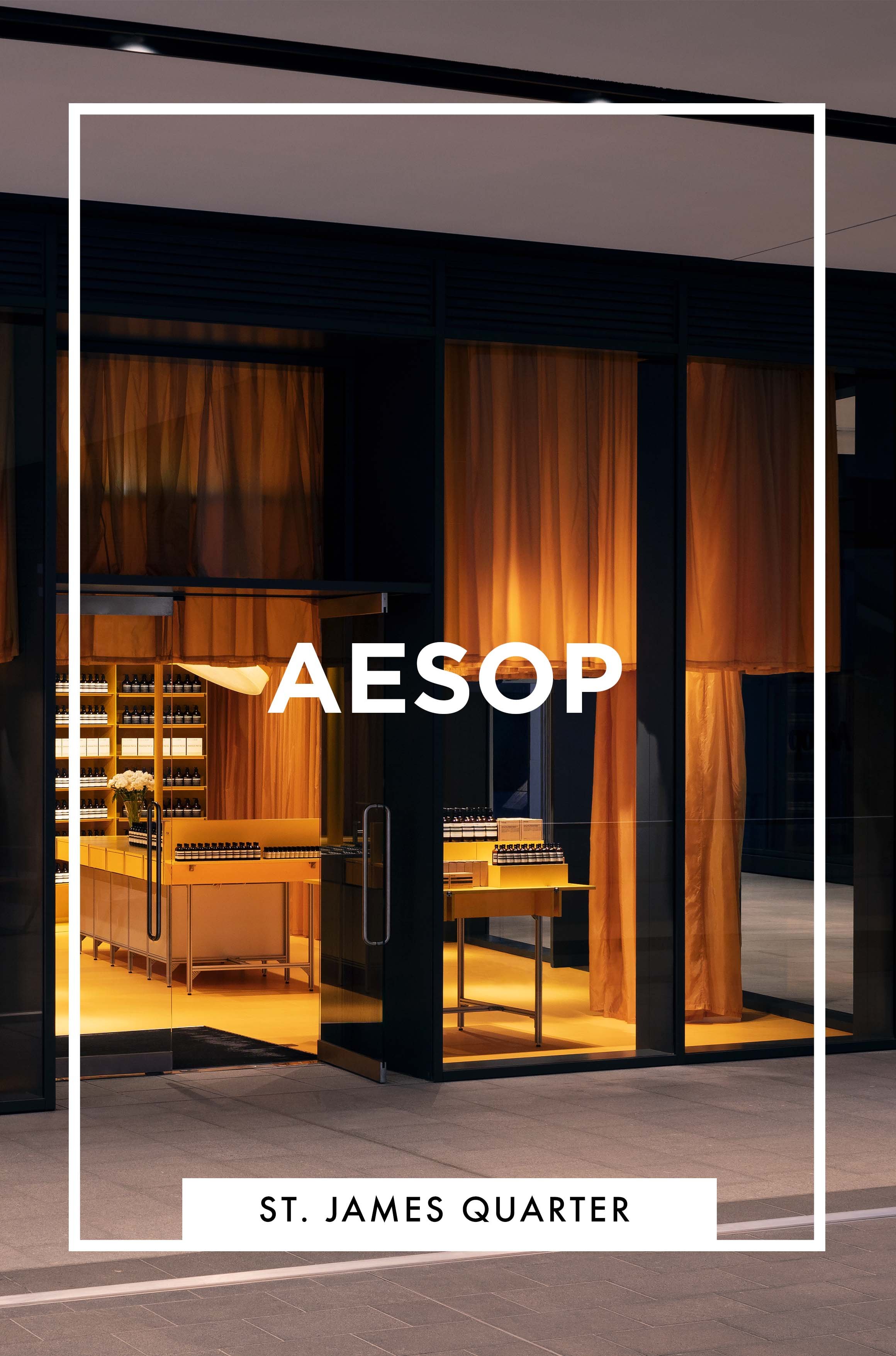 AESOP SJ SPLINTR Project Thumnail Website.jpg