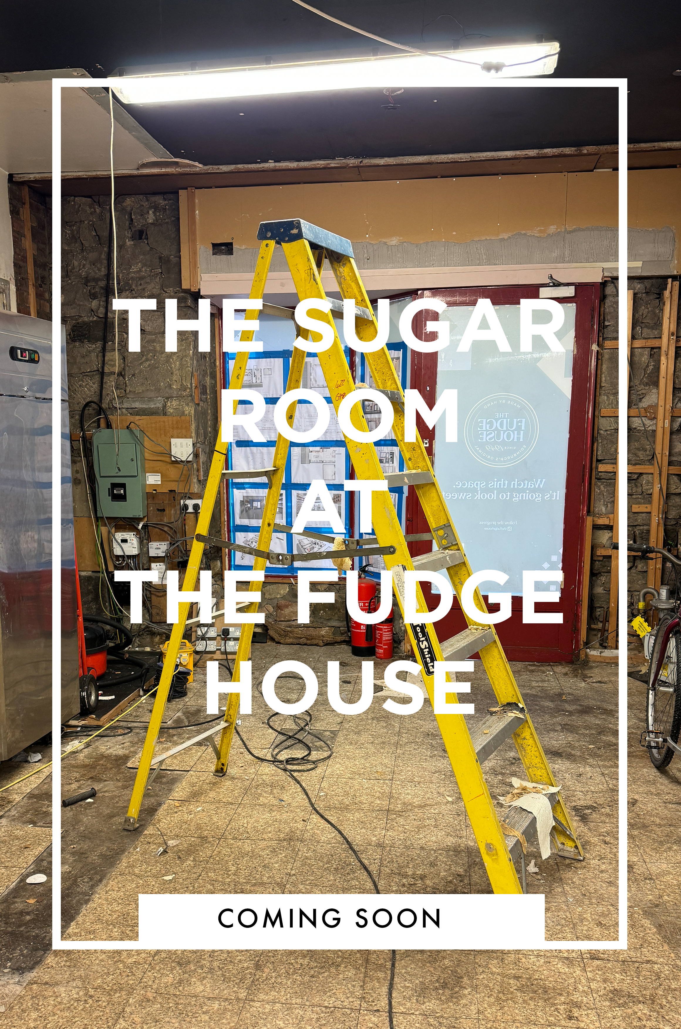 THE SUGAR ROOM COMING SOON.png