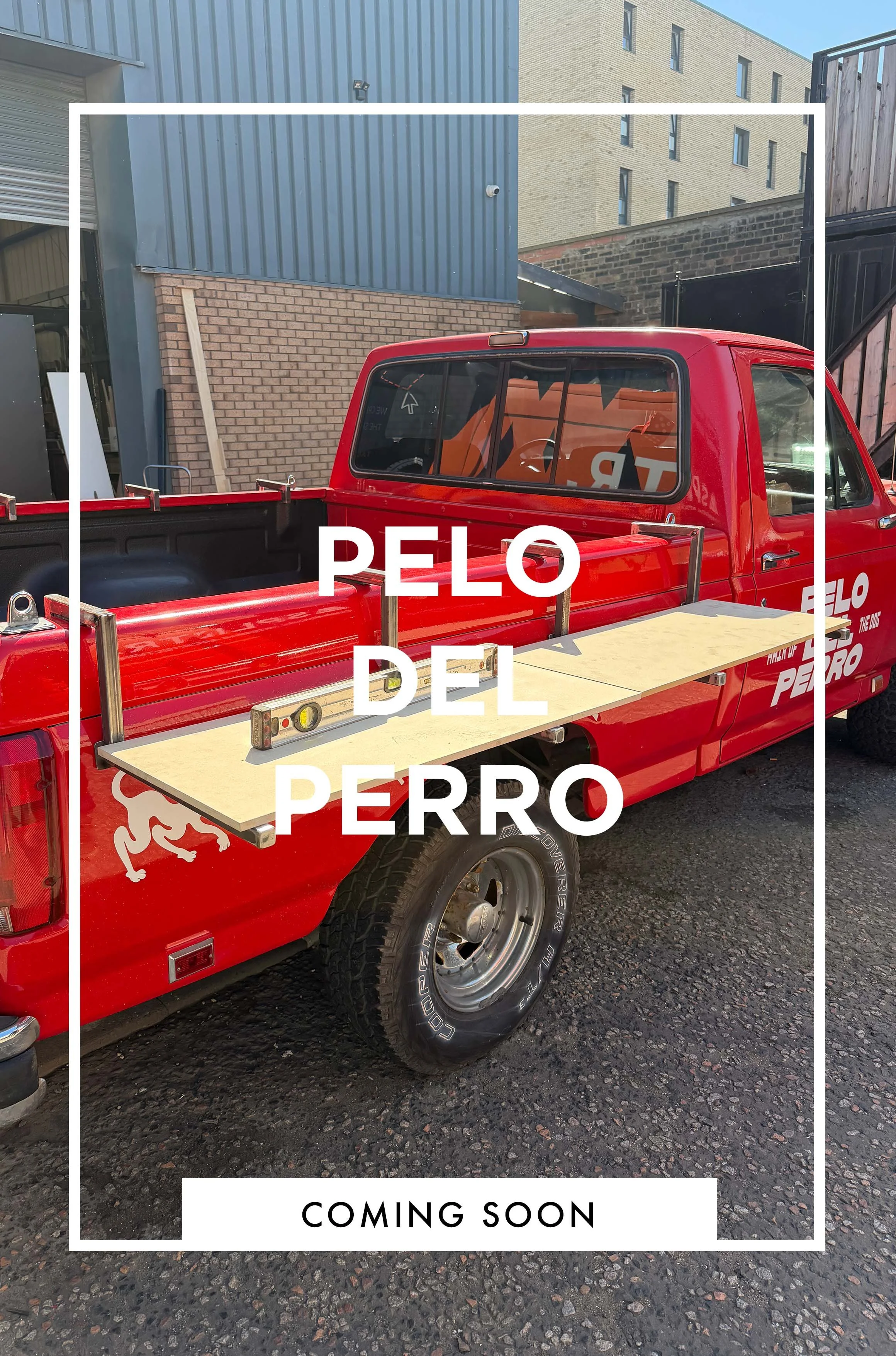 PELO DEL PERRO COMING SOON.jpg