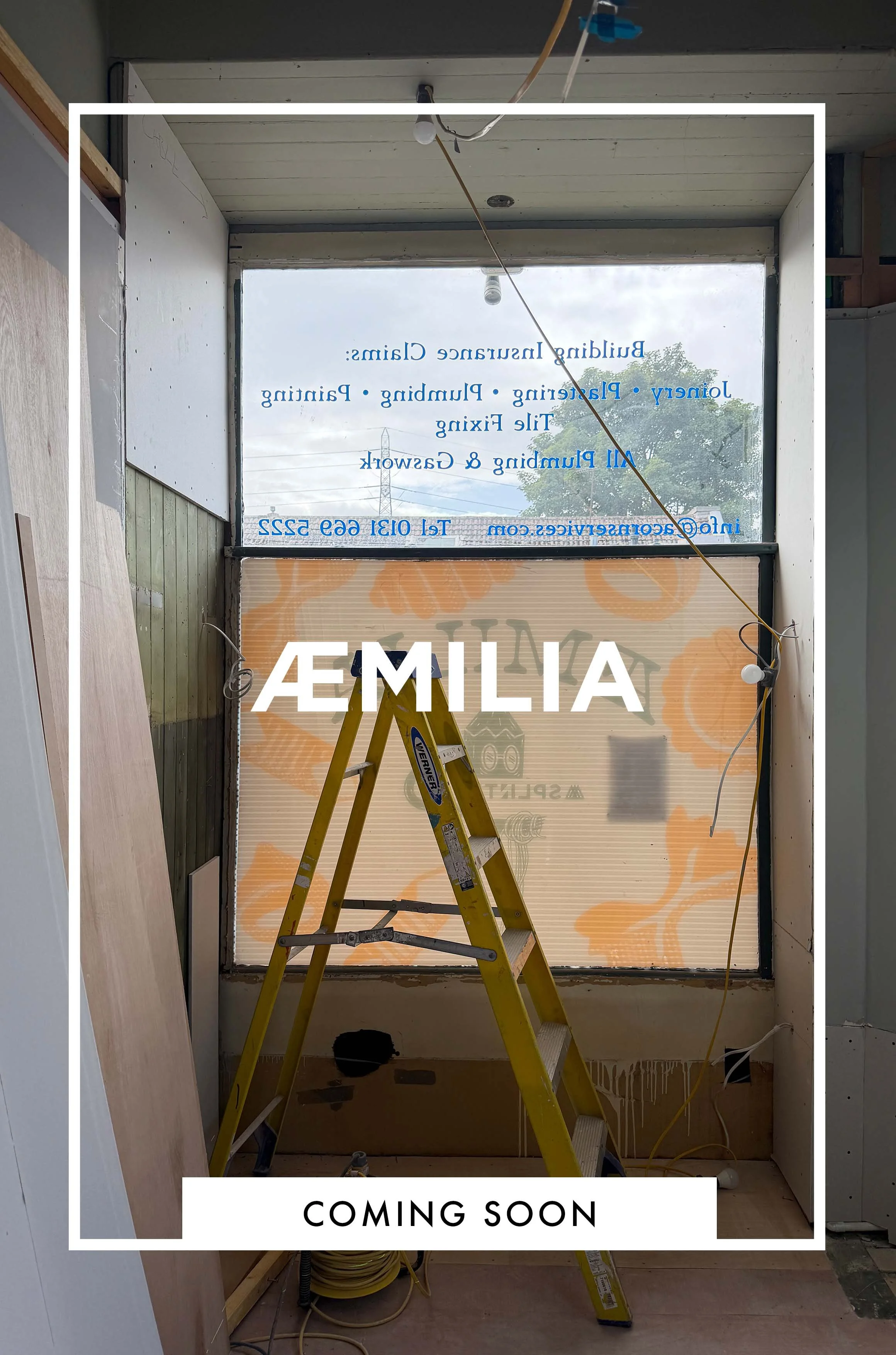 Aemilia coming soon.jpg