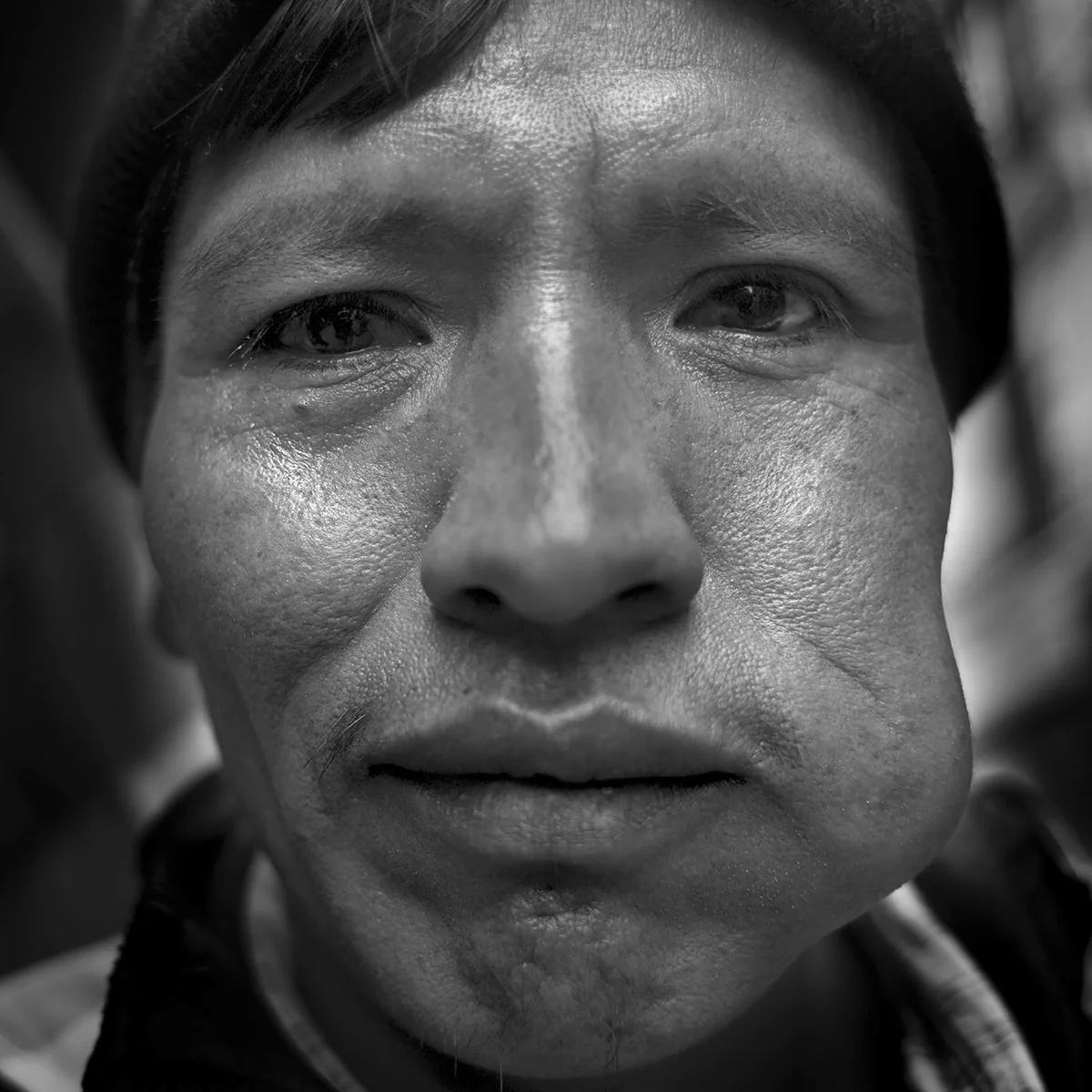 Coca Plants In Bolivia coca-plants-in-bolivia