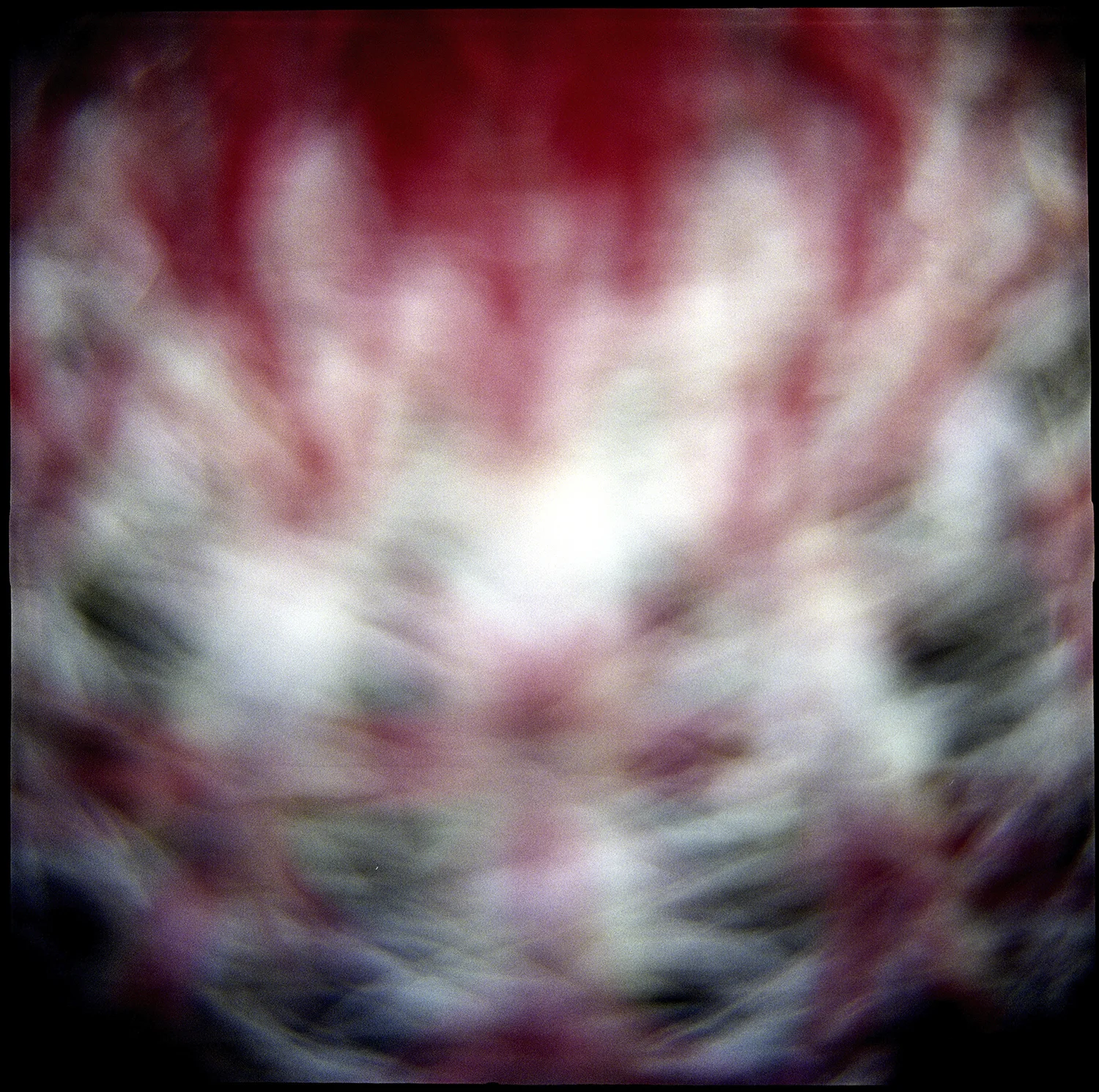 Viricuta_13.jpg