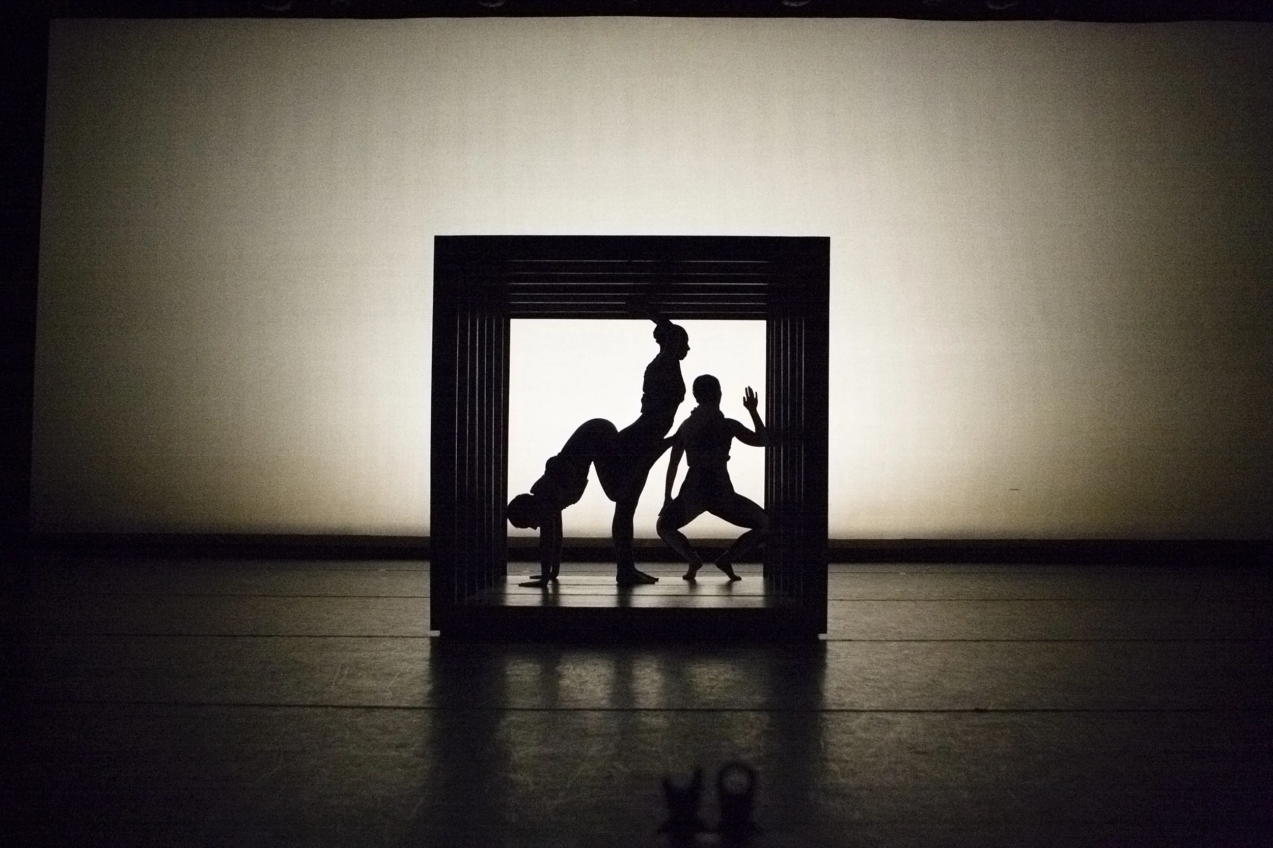 pirtdnuoroundtrip Choreographers, Claire Westby, Sam Swanton, Michael Laskaris NYU Dance - Fifth Floor Theater Set, Mikaela Liakata Costumes, Beth Goldenberg Sound, Yoonmi Lee Photo, Anshu Bhatia & Ella Bromblin