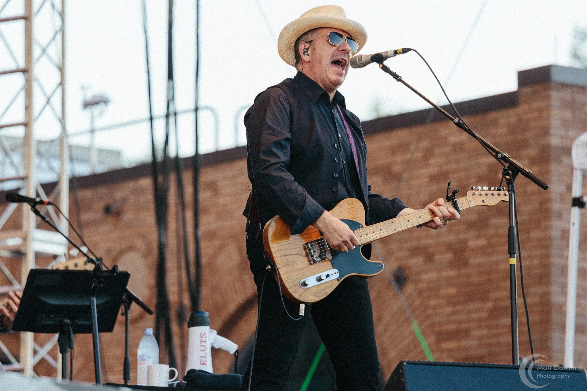 Elvis Costello