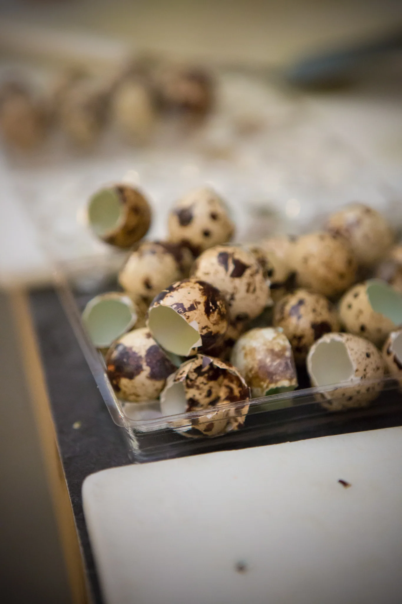 farmdinner20130225016.jpg