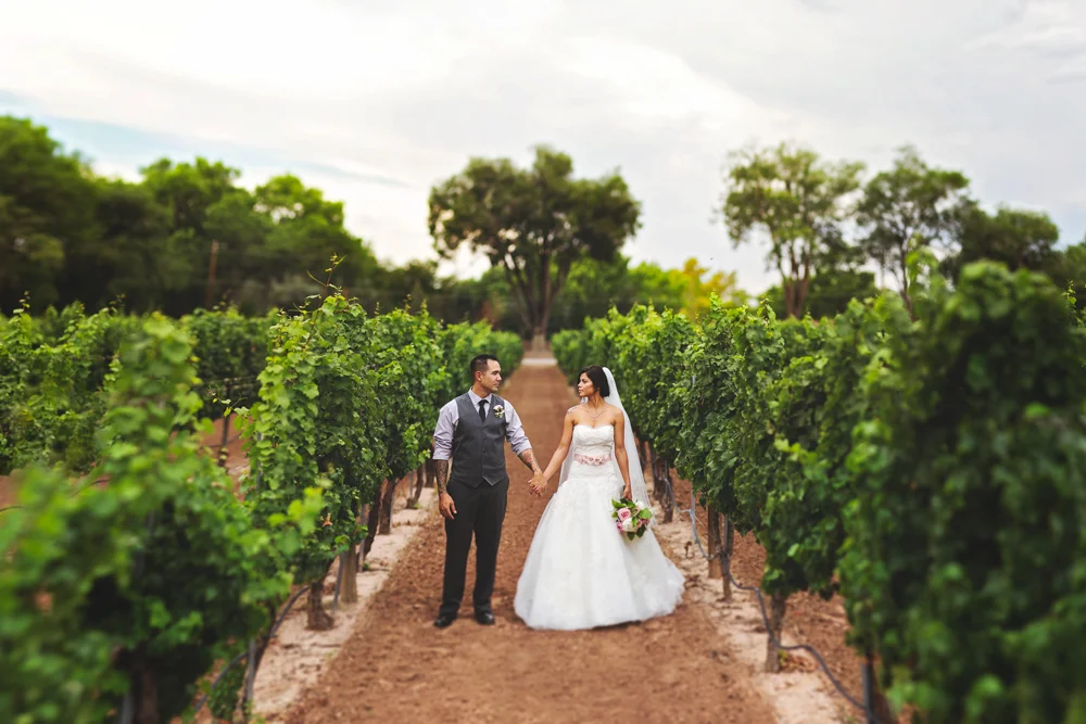 Casa-Rondena-Wedding-Albuquerque-NM-Liz-Anne-Photography-01.jpg