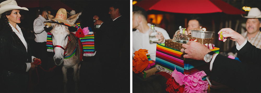 Nic + Taylor | La Posada | Santa Fe, New Mexico Wedding | Liz Anne Photography 093.jpg