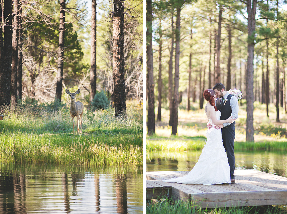 Daniel + Jaclynn | New Mexico Mountain Wedding | Liz Anne Photography 55.jpg