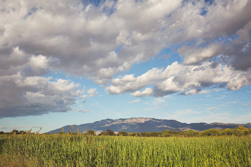 Kemper + Beth | Farm Engagement Session | Albuquerque, New Mexico | Liz Anne Photography 02.jpg