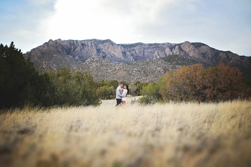 Chris + Desiree {Engaged}