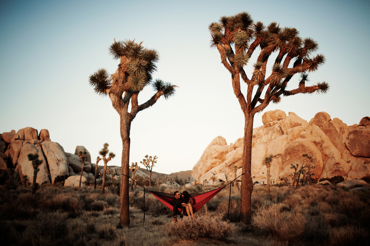 joshua-tree-california-desert-palm-springs-photographer-engagement-session-photos-liz-anne-photography