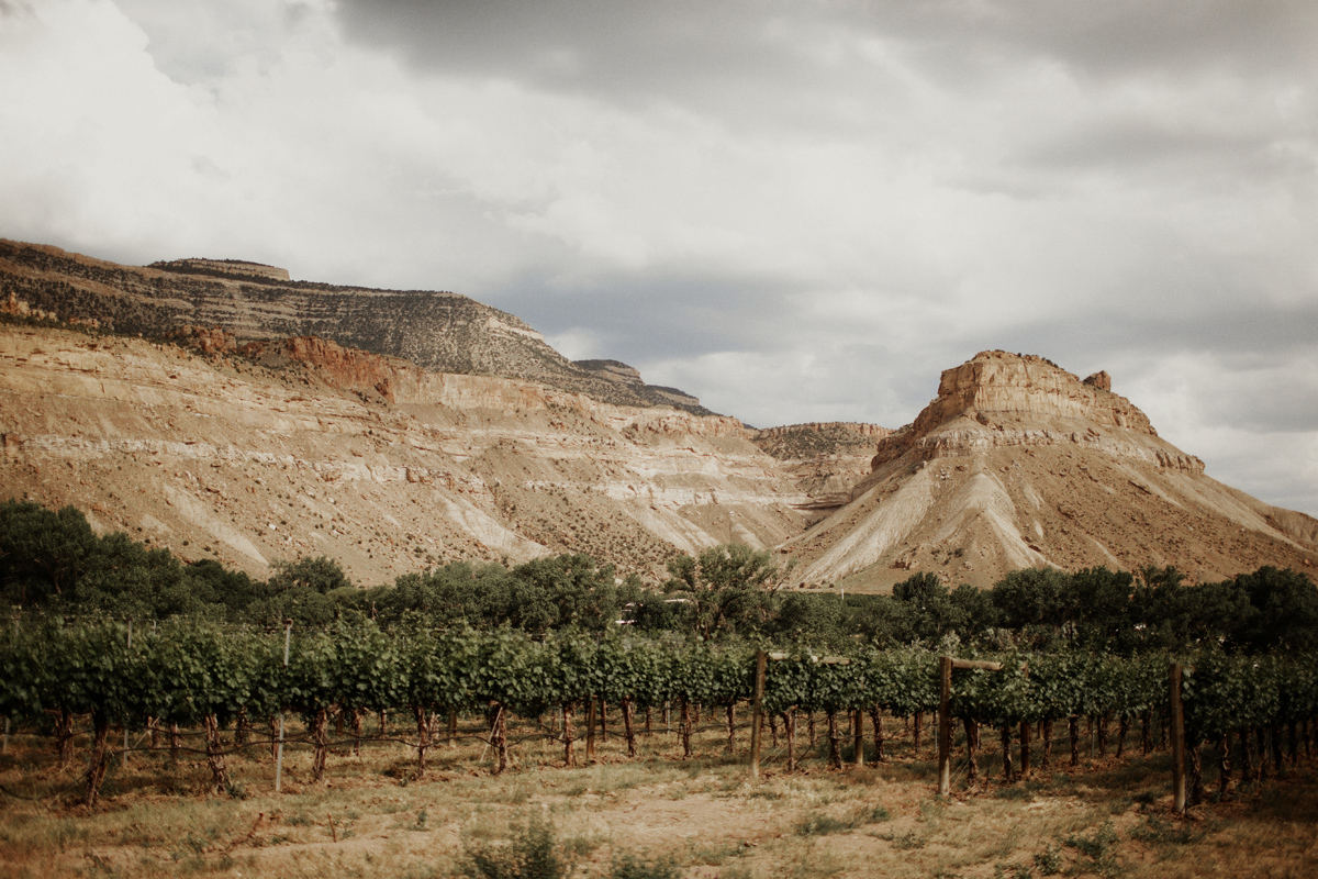 colorado-photographer-palisade-bohemian-vineyard-intimate-wedding-national-monument-rue-de-seine-stonewood-vintage-elizabeth-wells-photography