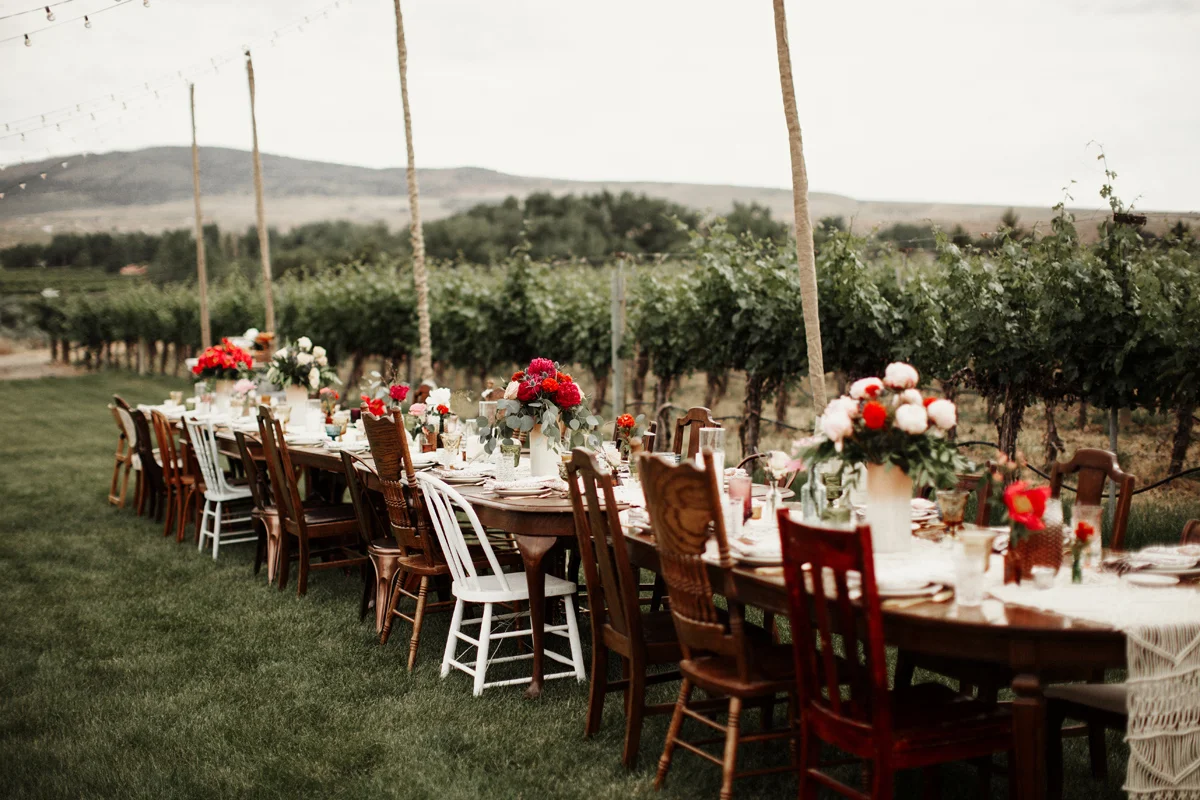 colorado-photographer-palisade-bohemian-vineyard-intimate-wedding-national-monument-rue-de-seine-stonewood-vintage-elizabeth-wells-photography