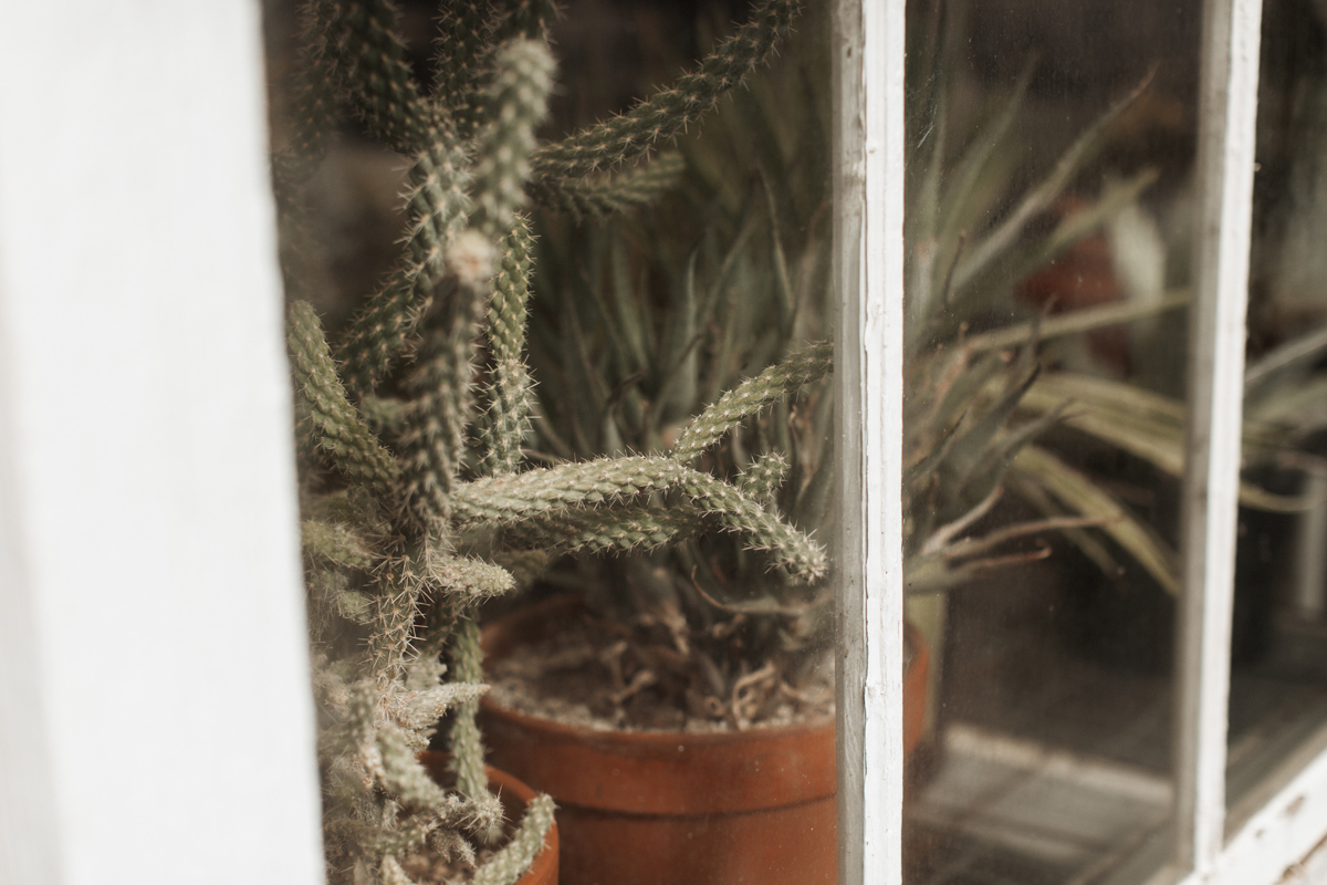 los-poblanos-wedding-albuquerque-new-mexico-elopement-elizabeth-wells-photography-photographer-winter-floral