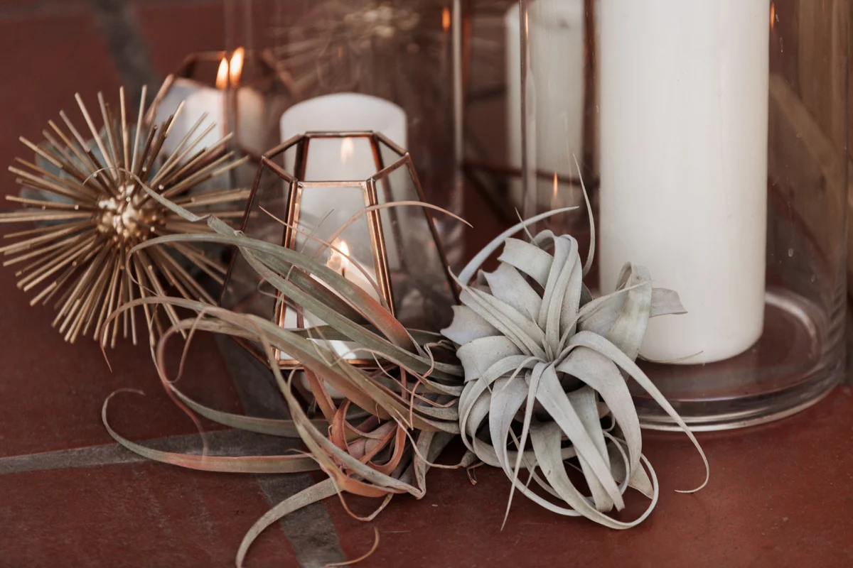 los-poblanos-wedding-albuquerque-new-mexico-elopement-elizabeth-wells-photography-photographer-winter-floral