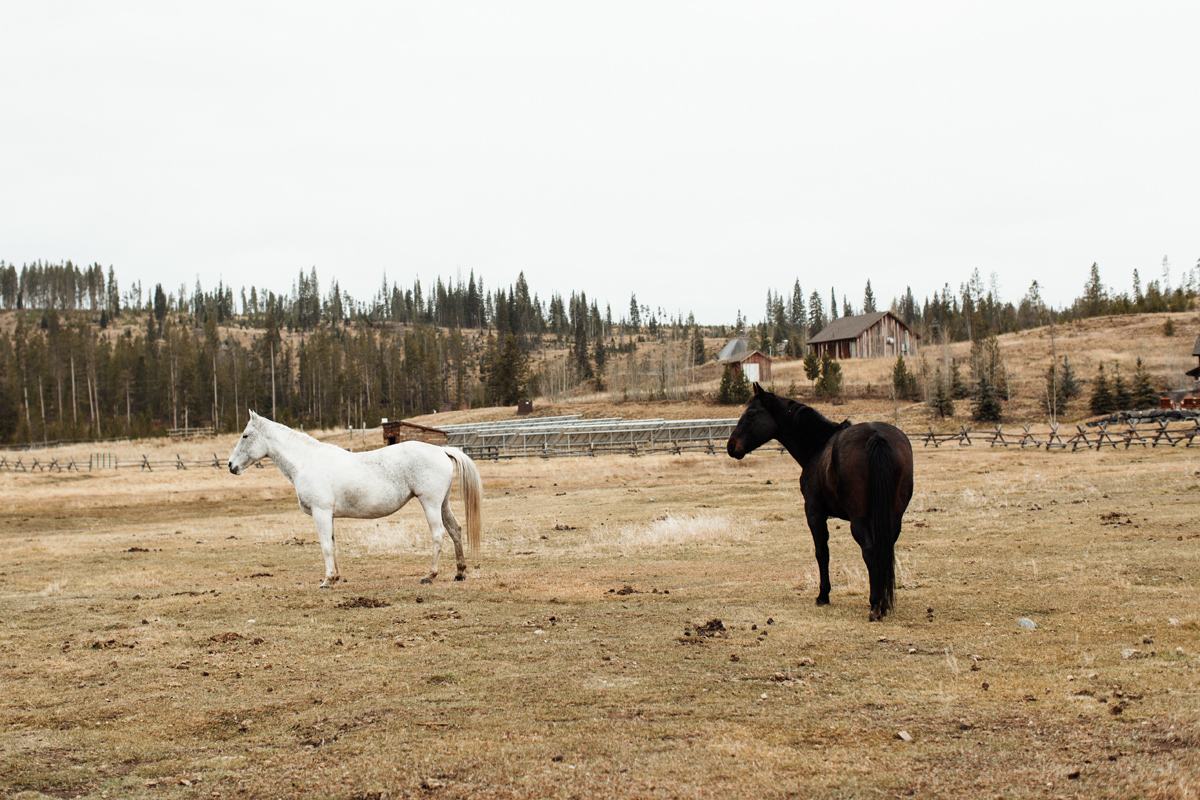 devils-thumb-ranch-tabernash-colorado-photographer-denver-mountain-wedding-elopement-elizabeth-wells-photography