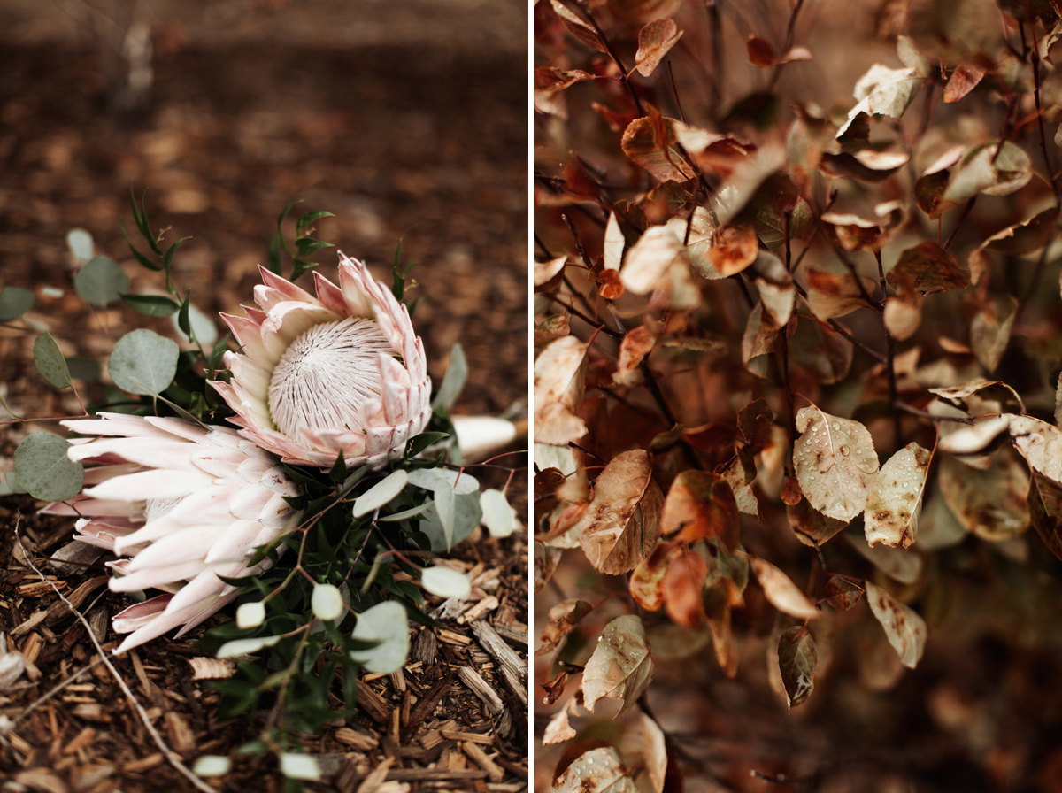 devils-thumb-ranch-tabernash-colorado-photographer-denver-mountain-wedding-elopement-elizabeth-wells-photography