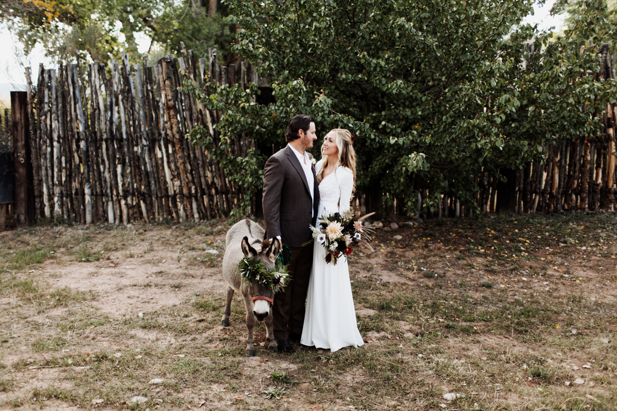 abiquiu-wedding-photographer-desert-elopement-new-mexico-elizabeth-wells-photography