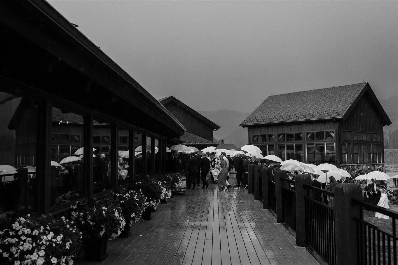 a rainy day in the colorado mountains