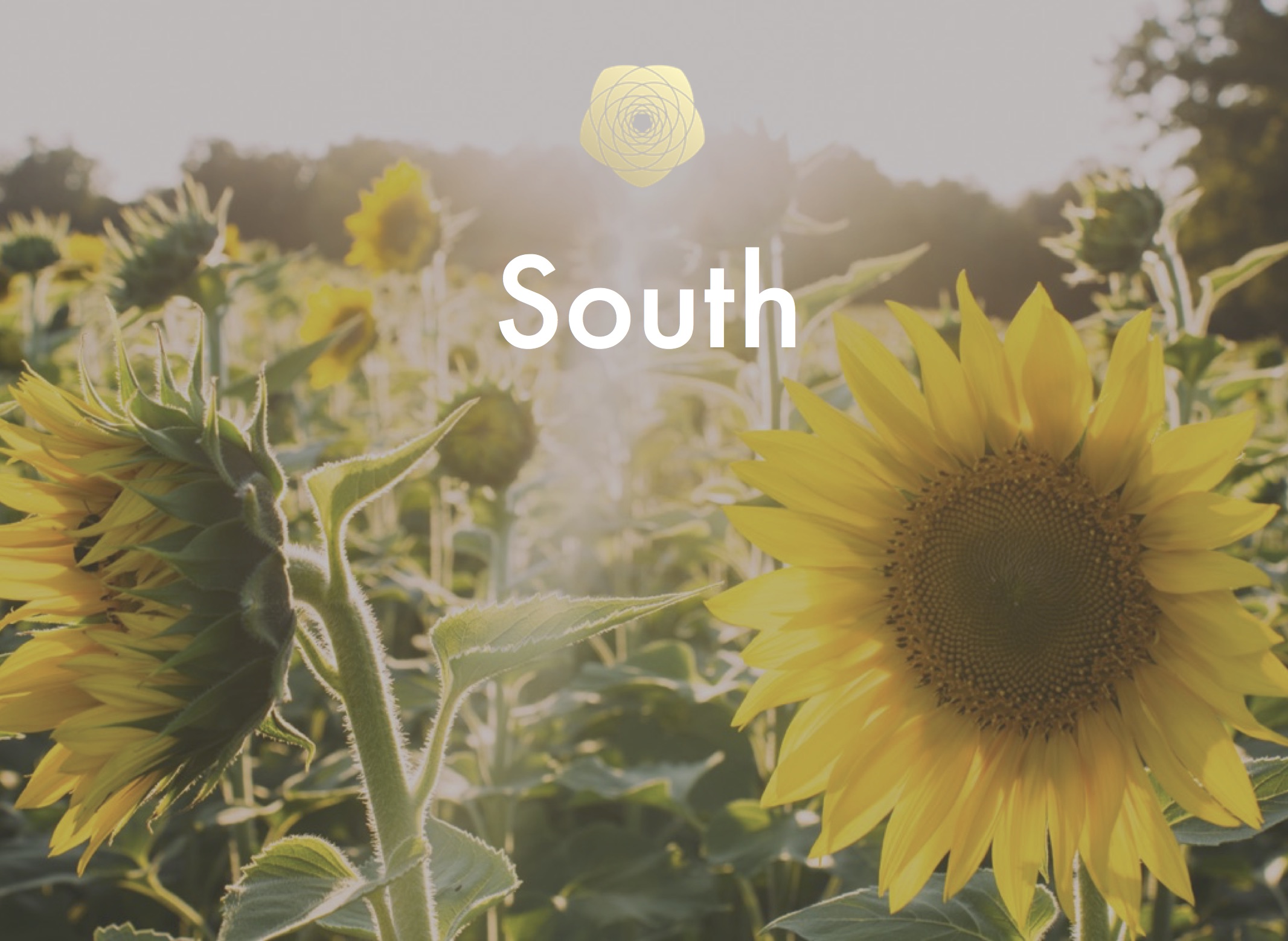 South Button.jpg