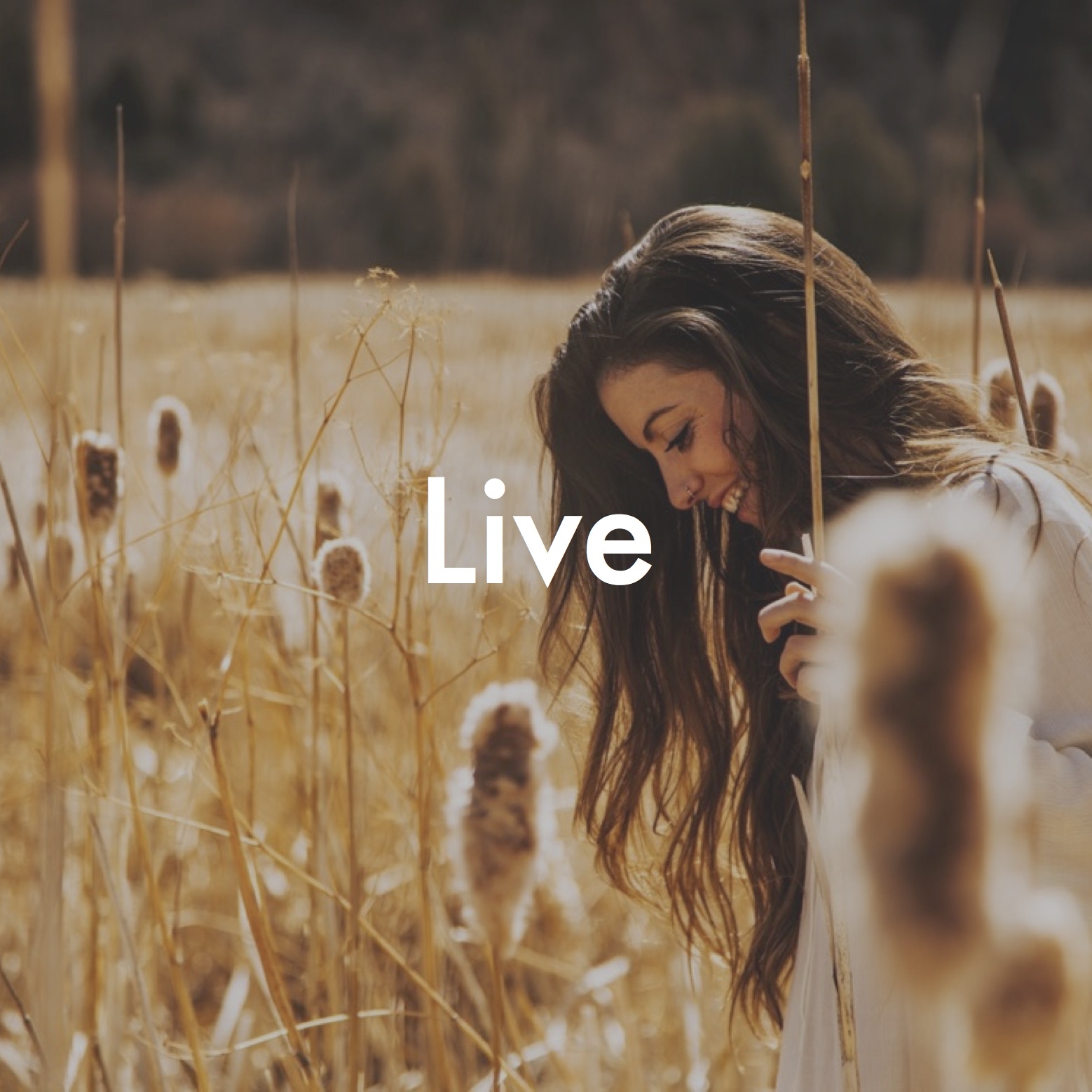 Live Button.jpg