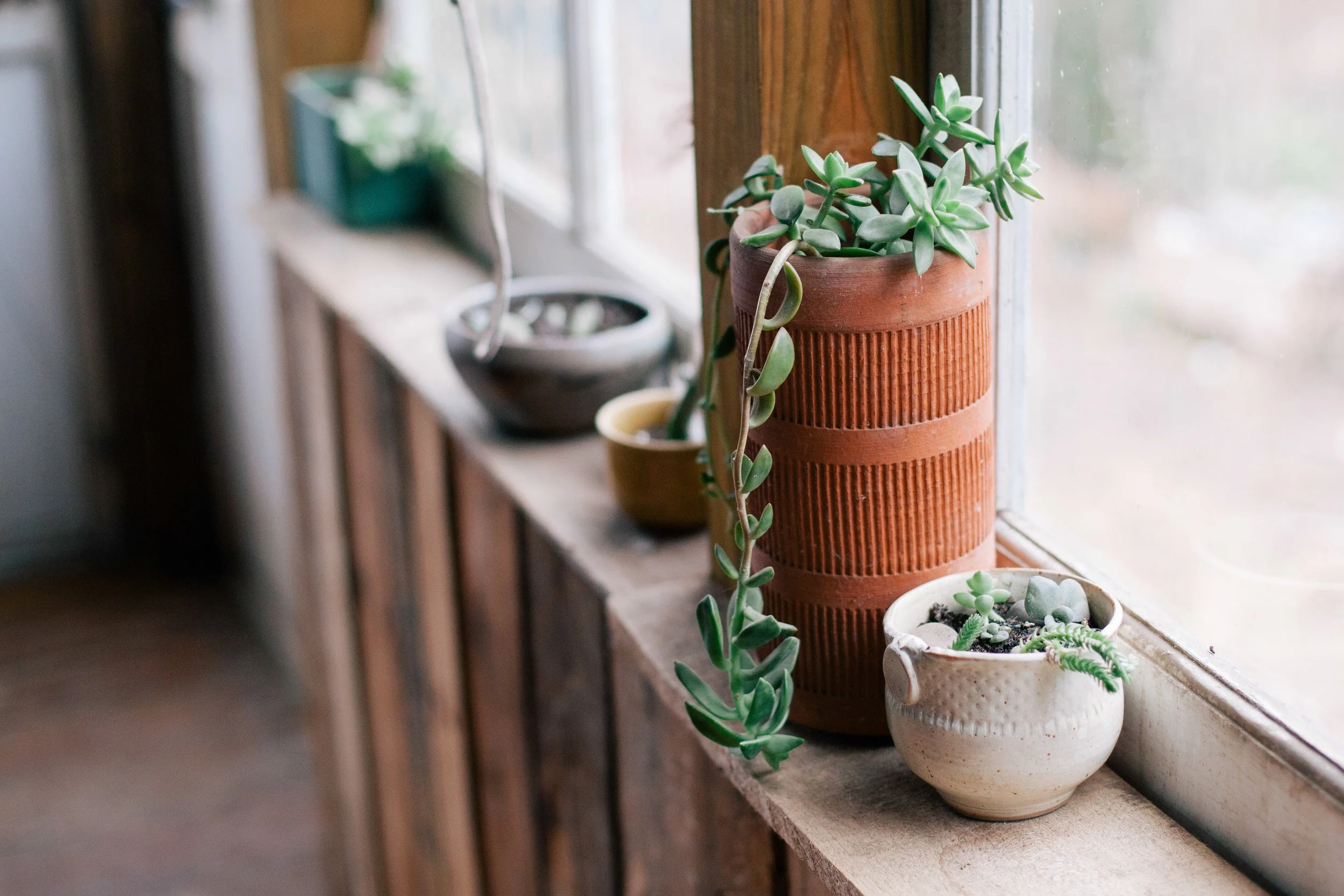 flowerpots-window-sill-6721.jpg