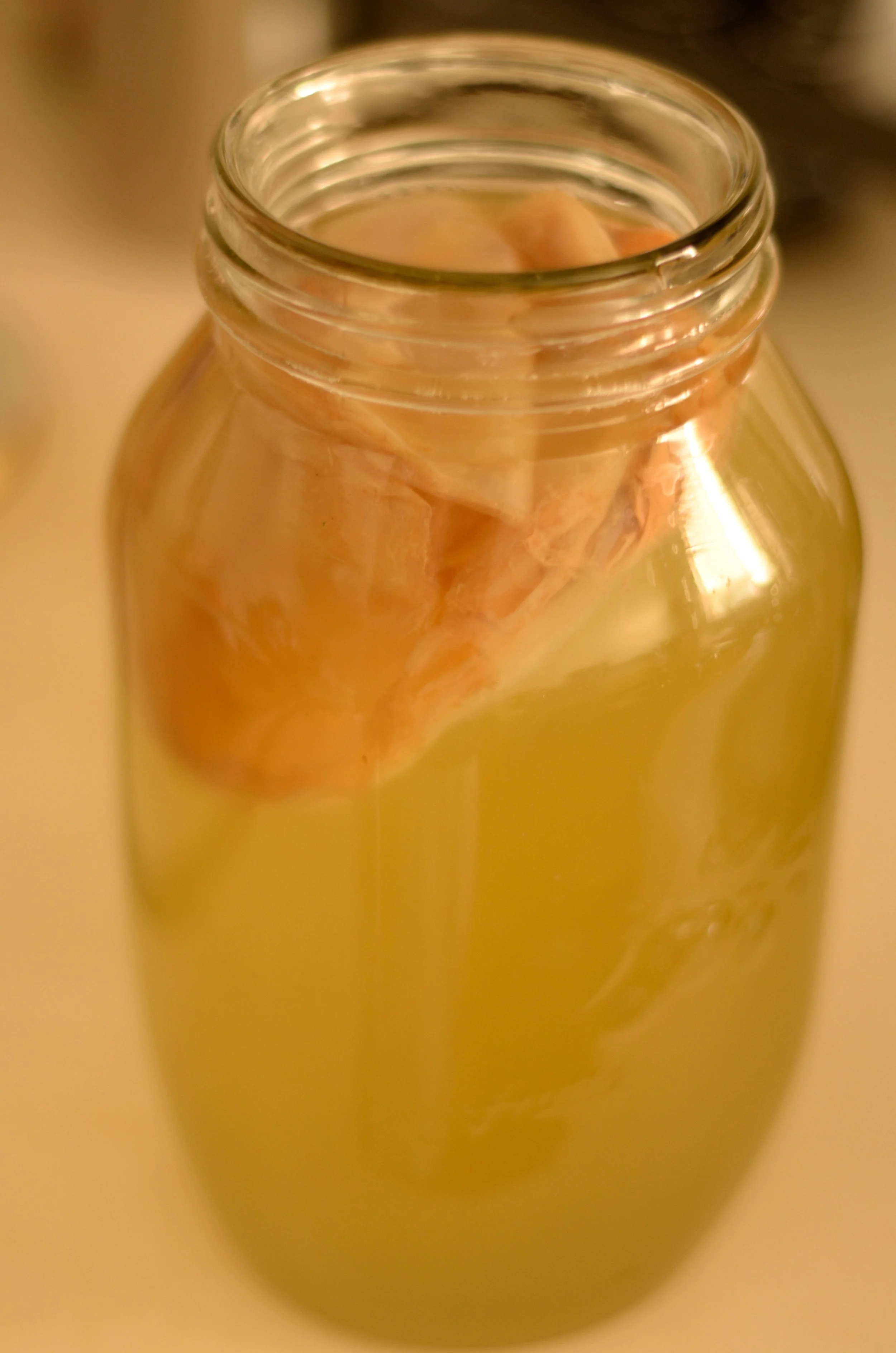 How I Got My Endless Kombucha...And So Can You!