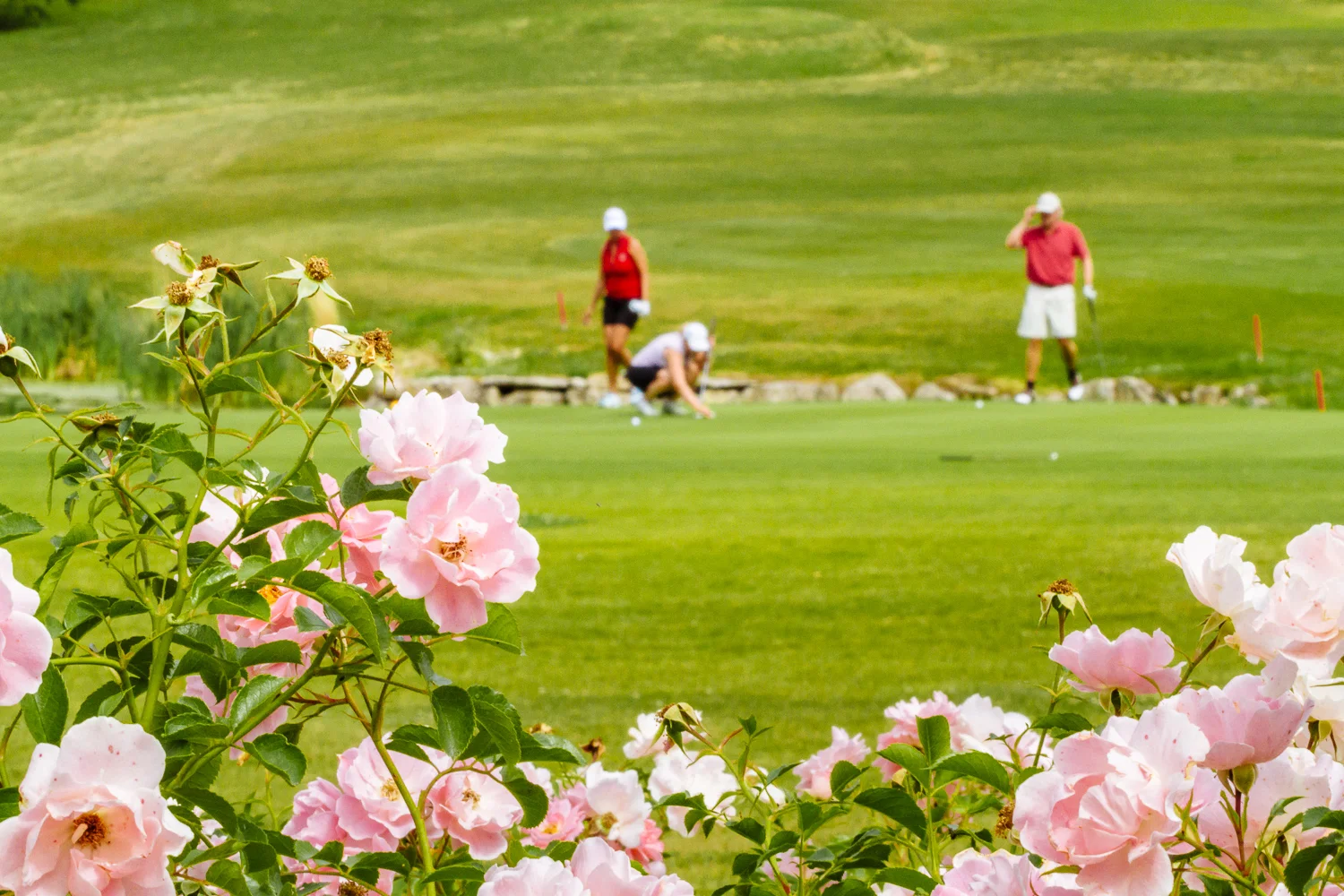 28.07.2013 / Weimar / Golfturnier im Spa- und Golfresort Weimarer Land / Foto: Henry Sowinski