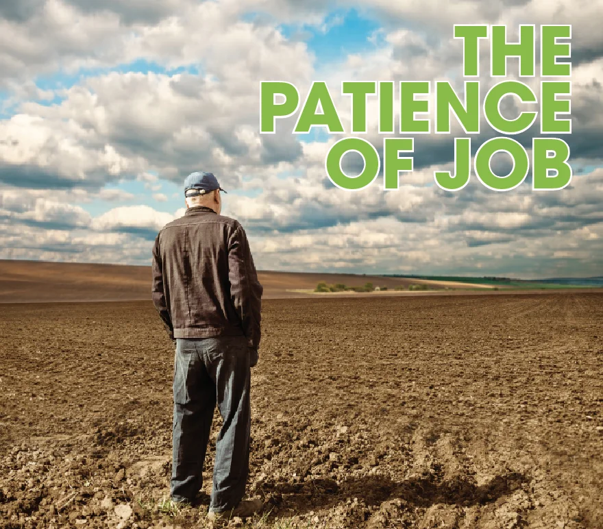 patience of job.jpg