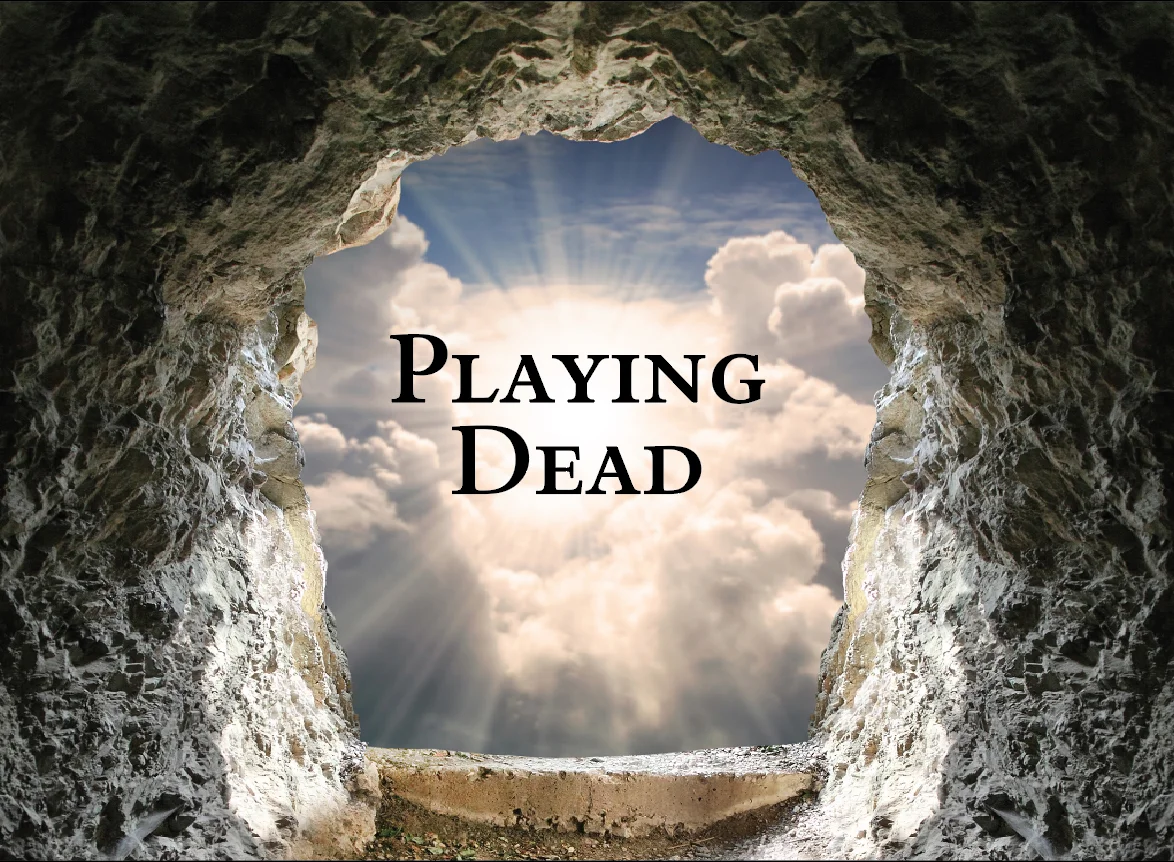playing dead.jpg