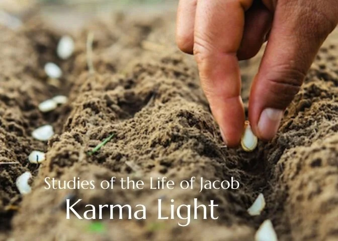 Karma Light 2.jpg