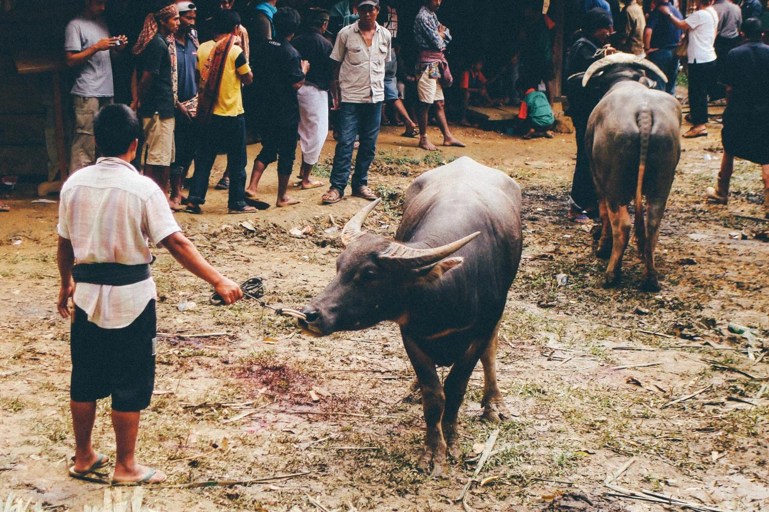 sulawesi, indonesia