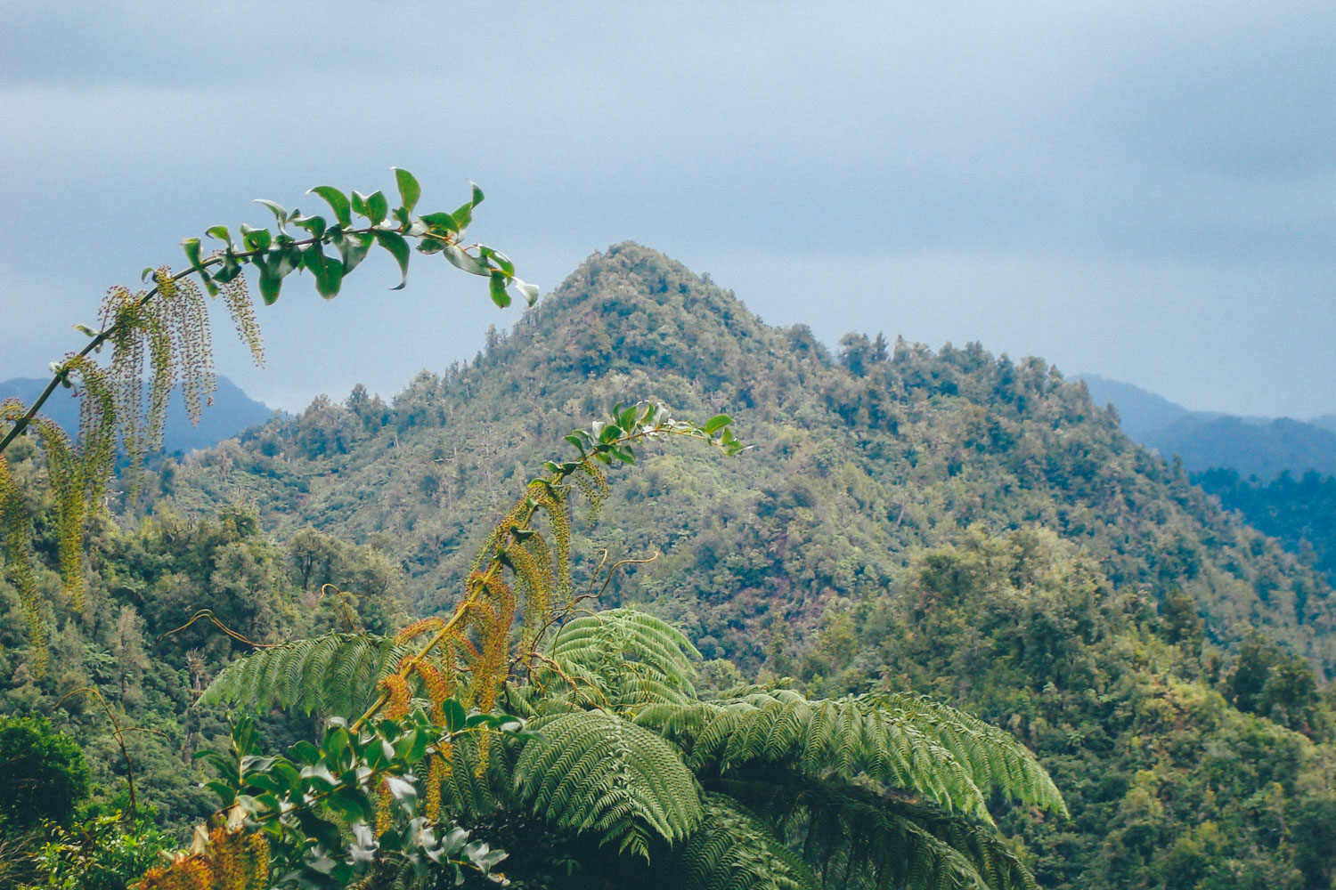  the coromandel, new zealand 