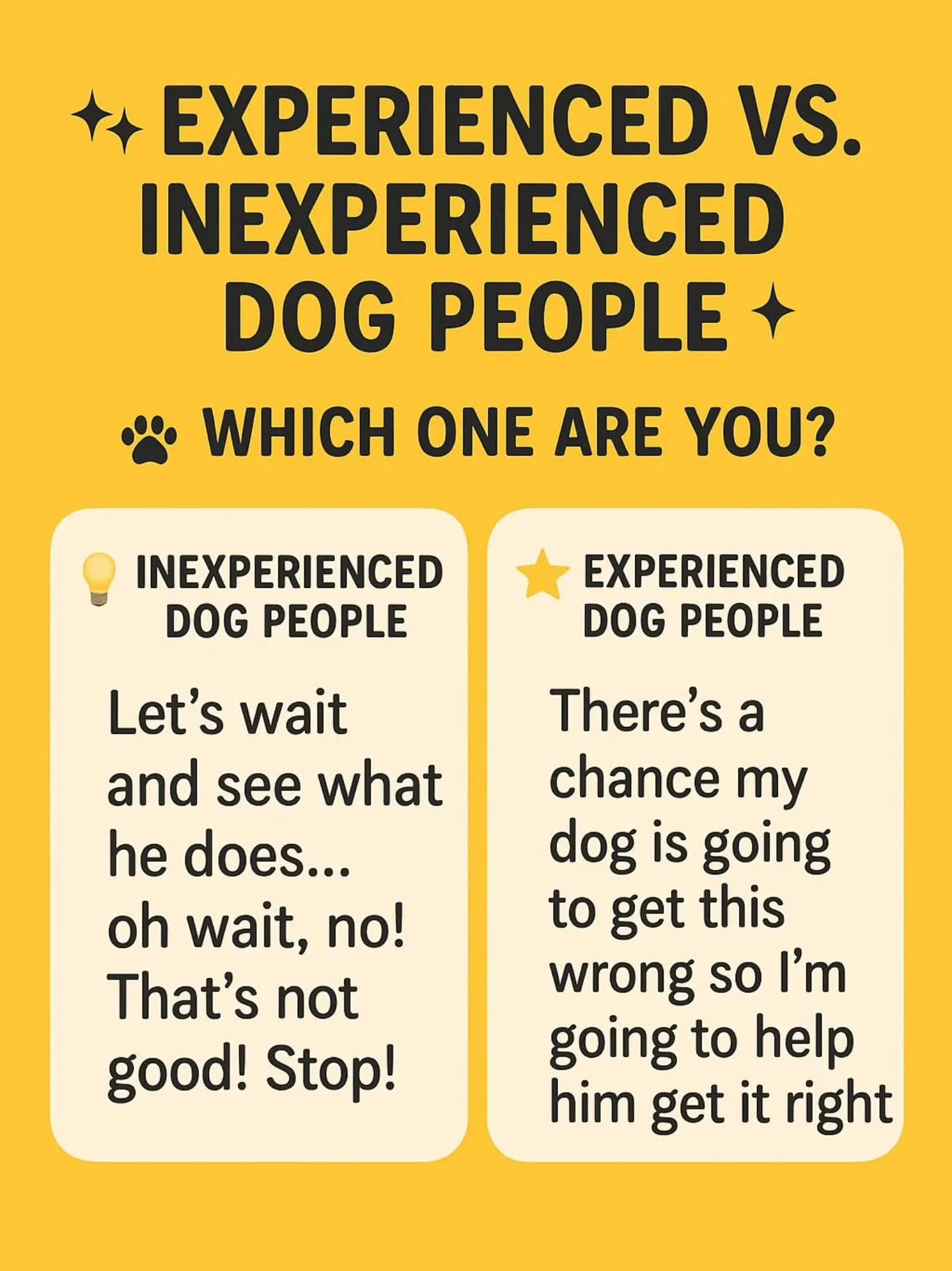 That little voice that says: &ldquo;Go on&hellip; just test your dog. See if they can handle it.&rdquo;
Yeah. That voice is a liar. 🫠🐶

Because here&rsquo;s what happens:
You test your dog &rarr; they fail spectacularly &rarr; you cry inside &rarr;