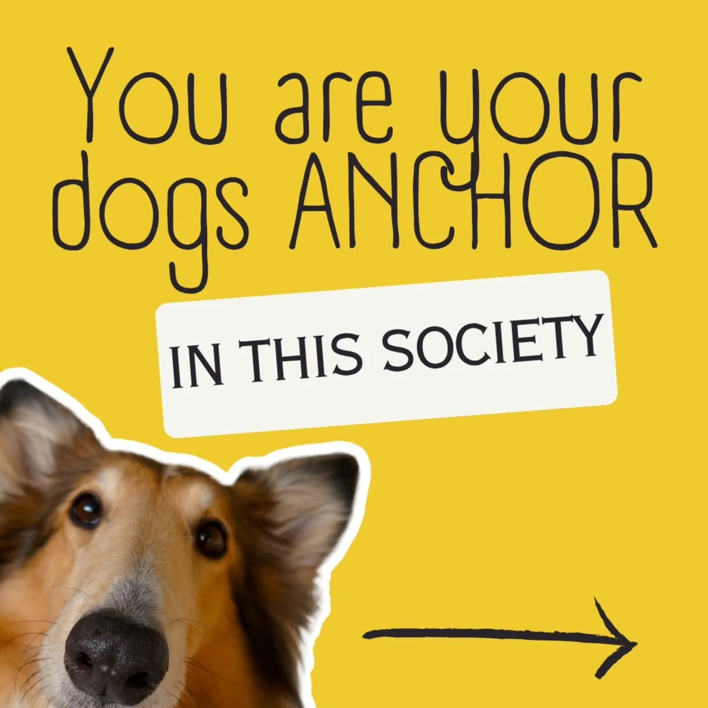 I might be biased because of my work, but every time I&rsquo;m out in public, I see dogs being let down left, right and centre.
I recently went to a dog caf&eacute; in London and honestly, it was horrendous. 😔🐾

Our society is becoming louder, fast