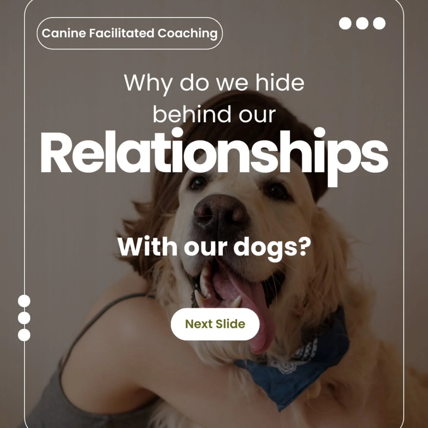 ✨ My Canine Facilitated Coaching container is ready to launch!

💕 It runs for 10 weeks from 22nd September and for this Equinox release it will be half price at &pound;40 per session! You can choose weekly or bi-monthly sessions, so 5 or 10 sessions