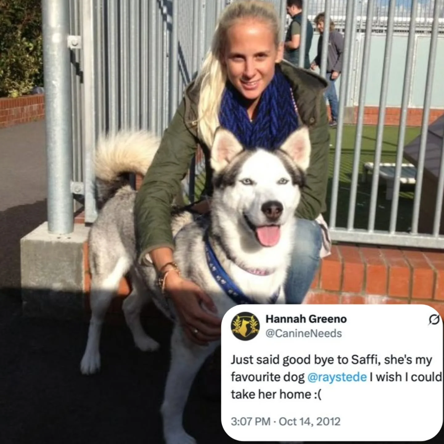 13 years ago I did a dog behaviour course at @raystedeofficial in East Sussex with the late, great John Rogerson. This year I come on board with @thegreatbritishtrufflefestival as an organiser as well as a Judge.

I am so happy that the GBT Festival 