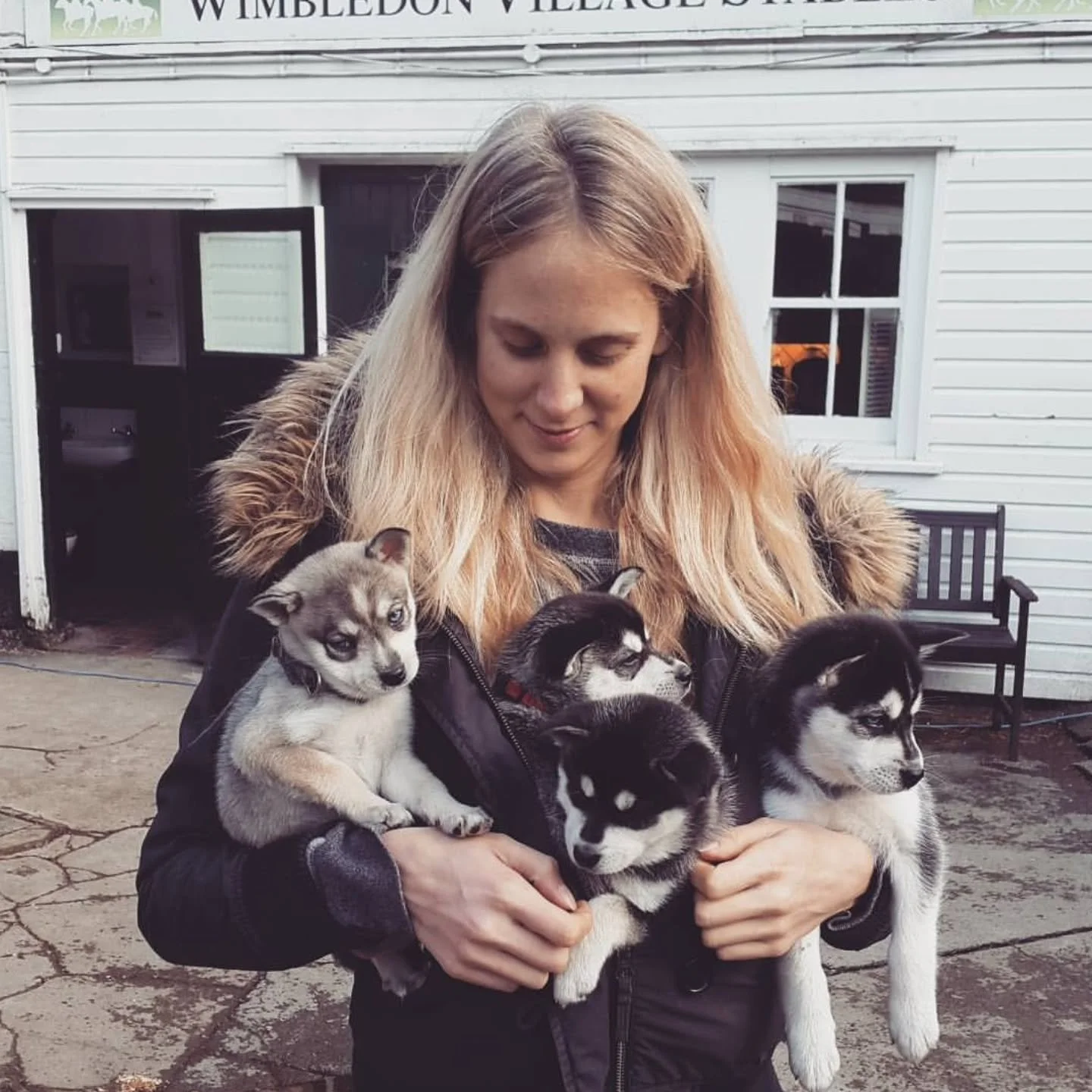 Happy 10th birthday to my last Tanit Tribe litter! 🥳🥳🥳🥳

I can't believe it's been 10 years since I produced my last litter of Alaskan Klee Kai!

I loved breeding dogs and I do miss it but it was not without its challenges, especially because the