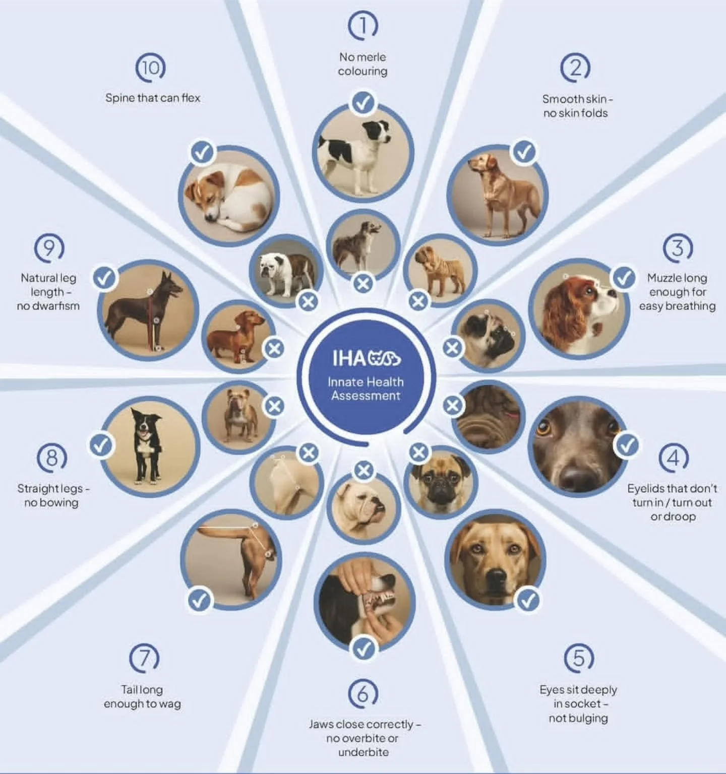 Very deserving of a place on the grid! 

The Innate Health Assessment tool helps to prevent the suffering of our next dog. It does this by making it clear which dogs to not breed from or buy.

These dogs may still need to be adopted from rescue organ