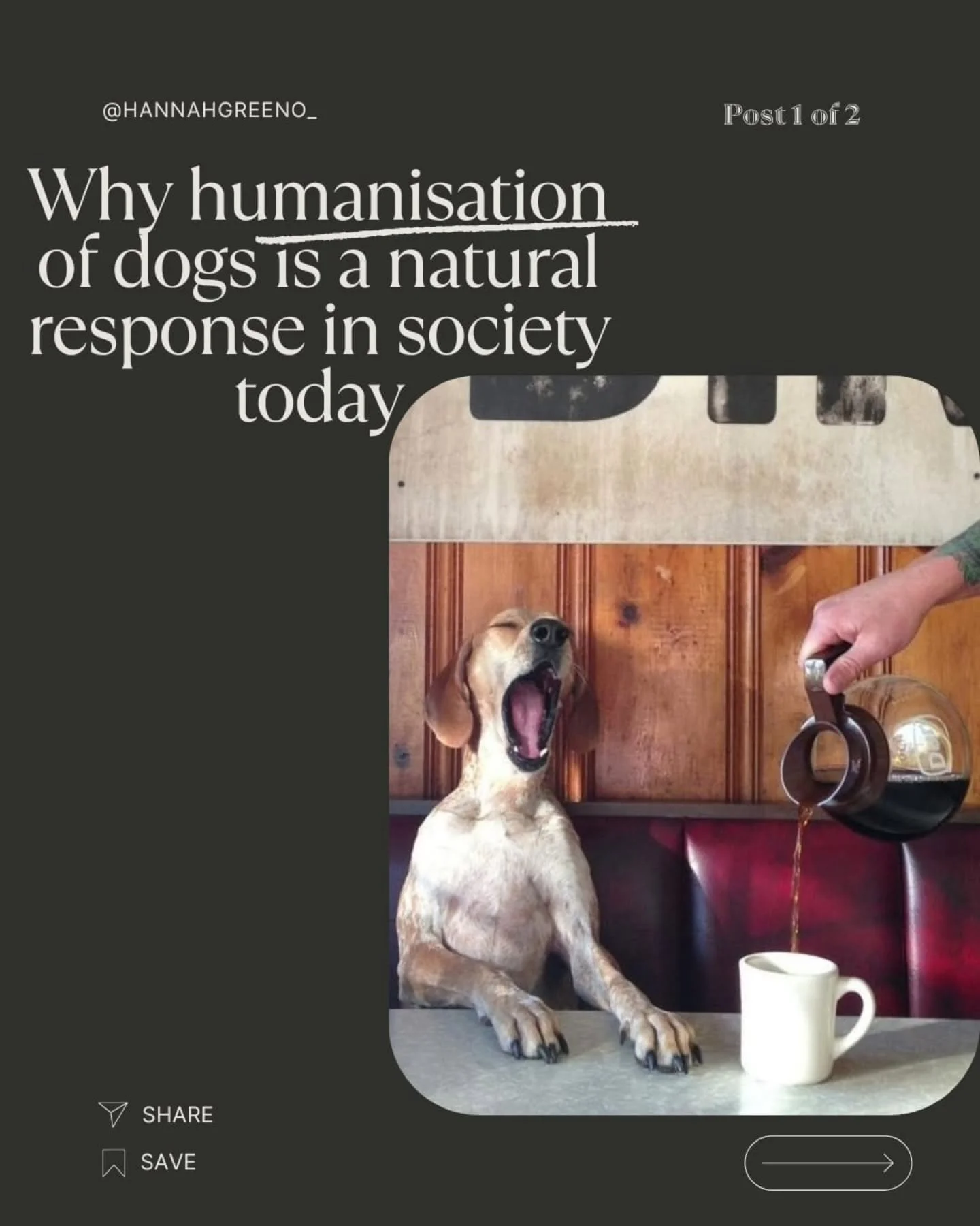 Has anyone noticed how our dogs are treated more like babies than animals lately?

From social media trends to emotional attachment and city living... Anthropomorphism is becoming the norm.

The question is: are we helping our dogs&hellip; or project