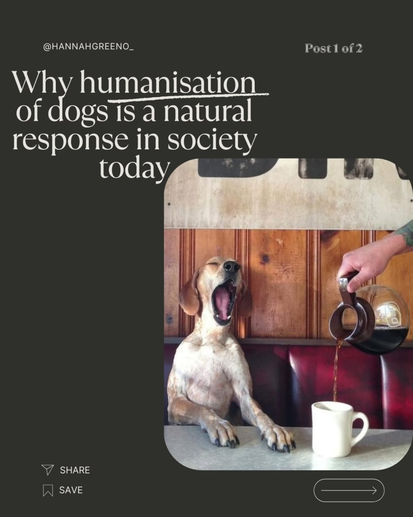 Has anyone noticed how our dogs are treated more like babies than animals lately?

From social media trends to emotional attachment and city living... Anthropomorphism is becoming the norm.

The question is: are we helping our dogs&hellip; or project