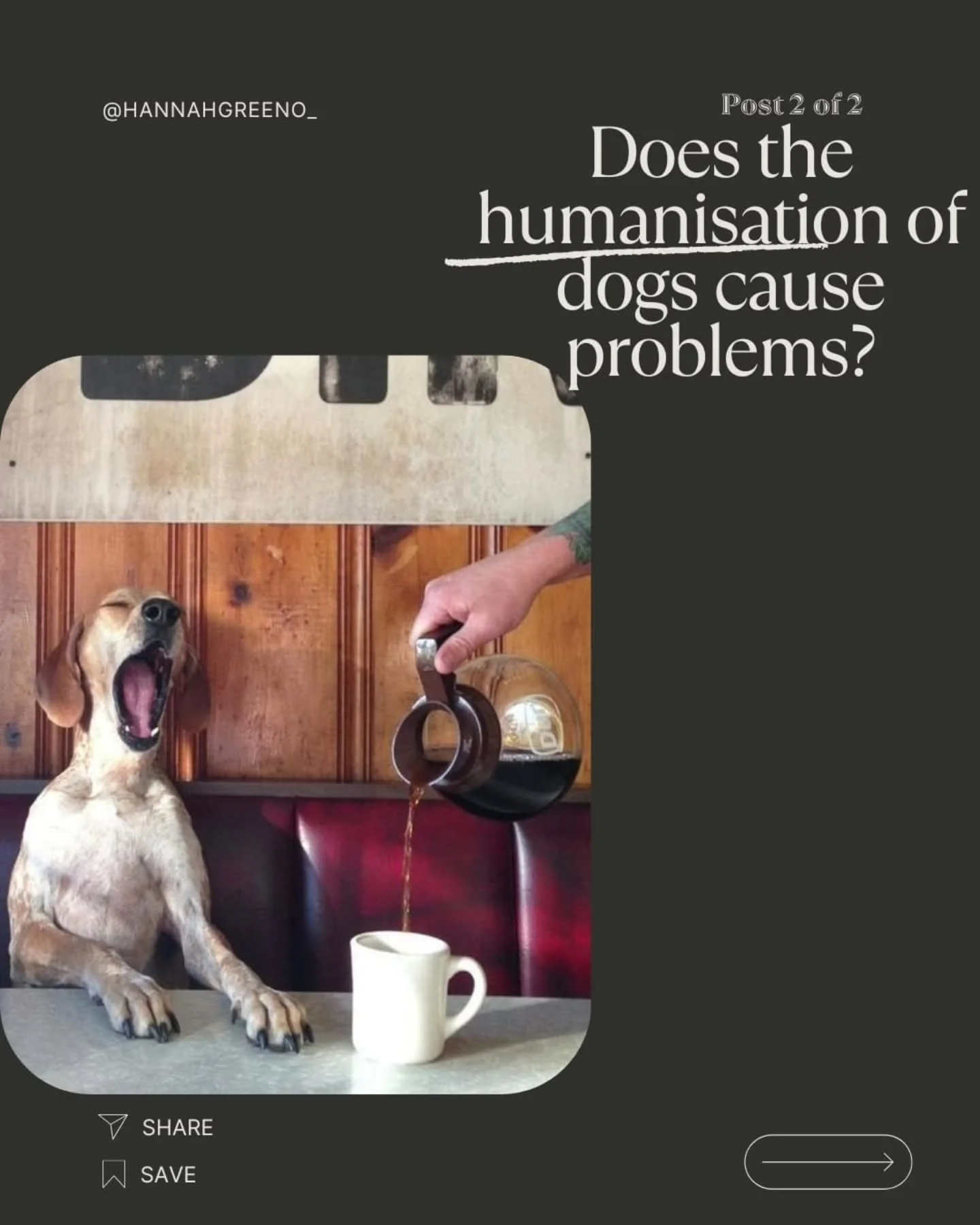 Are we loving our dogs how they need? Or are we humanising them because of what we need? 🐶💭

Harmful anthropomorphism happens when we replace a dog&rsquo;s natural instincts with human emotions or expectations. From over-coddling and forcing/encour